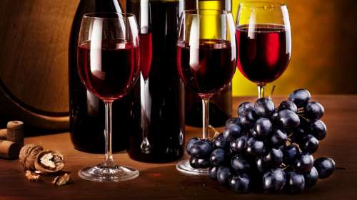 , Appellation vin : Les appellations françaises pour les vins et la typicité